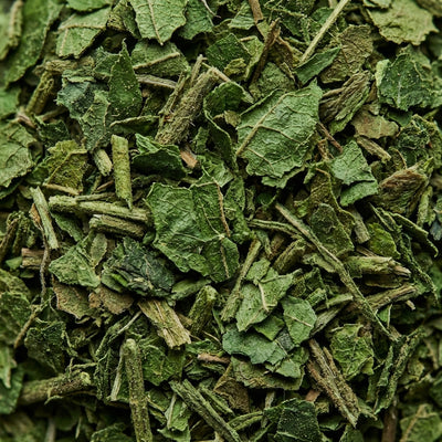 Gymnema Sylvestre