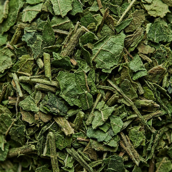 Gymnema Sylvestre